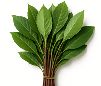 Khat
